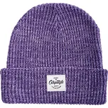 Carpstyle Purple Beanie