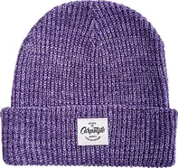 Carpstyle Purple Beanie