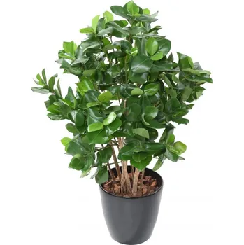 umělá květina CLUSIA BUSH, 95cm (Luxusní umělý keř)