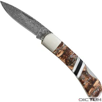 kapesní nůž Kapesní nůž 719669 - Mini Damascus Folding Knife, Mammoth Molar