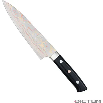 Pracovní nůž Japonský nůž 719963 - Saji Rainbow Hocho, Gyuto, Fish and Meat Knife