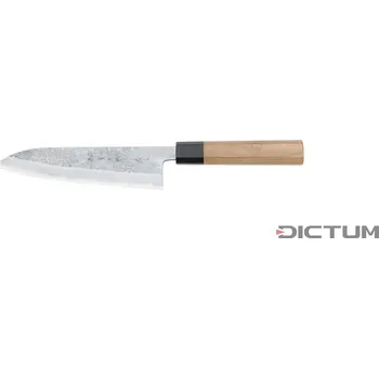 Pracovní nůž Japonský nůž 719933 - Kanehiro Hocho, Gyuto, Fish and Meat Knife