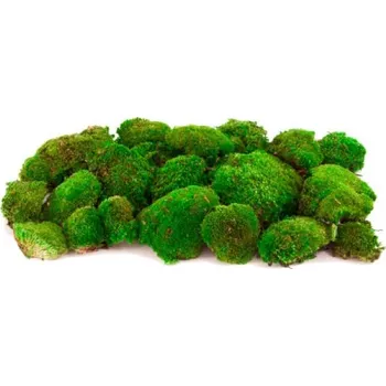 Verdissimo Mech "bobky"