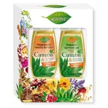 Bione Cosmetics Bio Cannabis kosmetická…