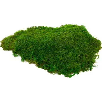 Mech plochý 0,5 kg (Mech flat moss, balení 45 x 30cm)
