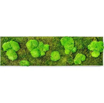 Obraz Gardners Mechový obraz 140x40 cm kombinovaný mech kopečkový s plochým, bílá