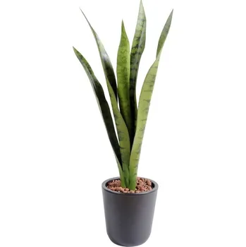 umělá květina Umělá květina Sansevieria deluxe v květináči, zelená 60cm