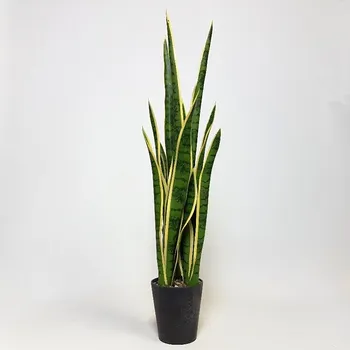 umělá květina Umělá Sansevieria zeleno-žlutá 81cm - Polostín