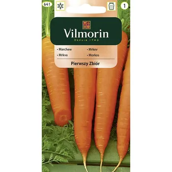 Semeno Mrkev Pierwszy Zbiór