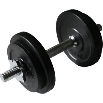 Činka 25mm 10kg pogumované kotouče