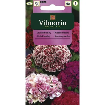 Semeno Hvozdík bradatý plnokvětý (směs)