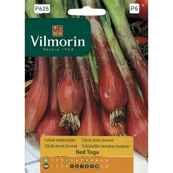Semeno Cibule zimní Red Toga (červená)