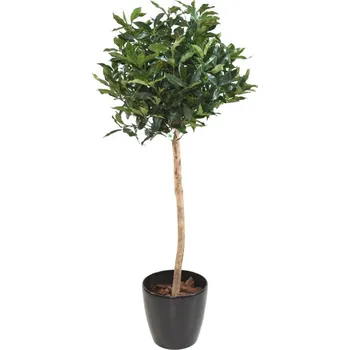 umělá květina Luxusní umělý strom VAVŘÍN LUSITANICA ROD, 150cm