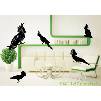 Samolepící dekorace Samolepky na zeď - Papoušci II - kolekce M