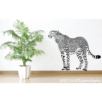 Samolepící dekorace Samolepky na zeď - Gepard II - S (60 x 45 cm)