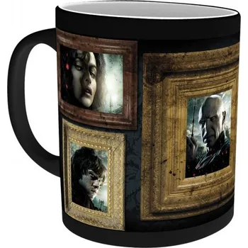 Magic Box Harry Potter Portréty 300 ml