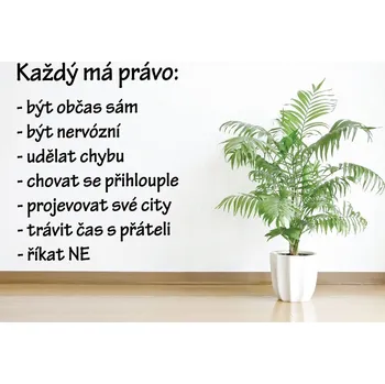 Samolepící dekorace Samolepky na zeď-Nápis-Každý má právo - L (90 x 112 cm)