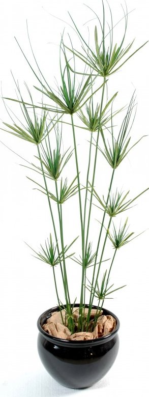 Luxusní umělá rostlina Šáchor, 140cm