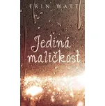 Jediná maličkost - Erin Watt (2018,…