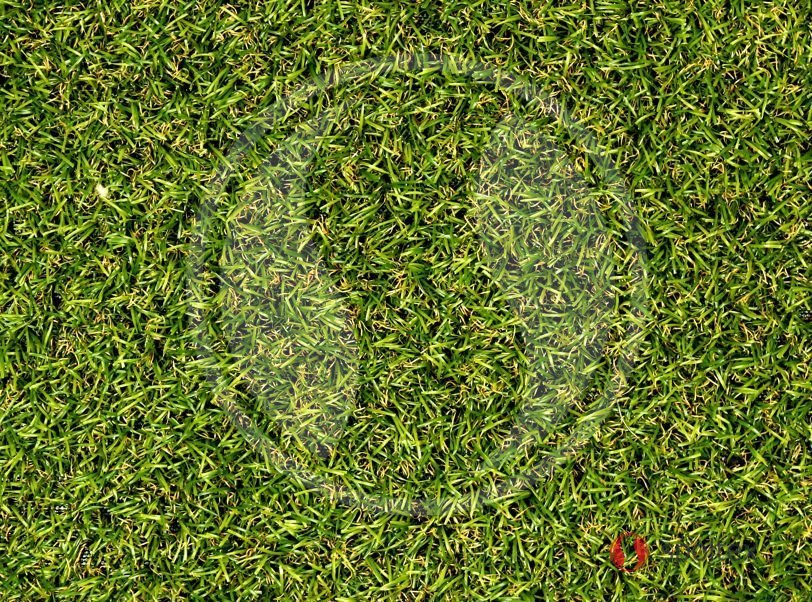 Travní koberec LORA, Šíře role Šíře role 4m