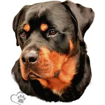 Autodoplněk Avisa Samolepka psa na auto - Rottweiler -