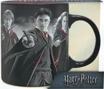 Harry Potter - Harry, Ron, Hermiona 320…