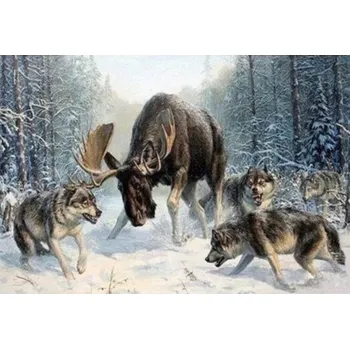 Gaira Los v obklíčení M1457