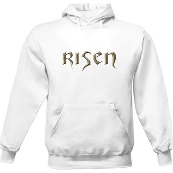 Pánská mikina Pánská mikina s kapucí s potiskem Risen 1 Páni pánské