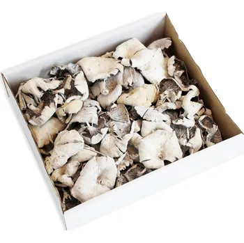 Zahradní dekorace Su Houba Květinová 400gr Whitewashed (12193030010)