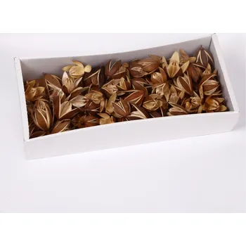 Zahradní dekorace SU Divoká Lilie Přírodní 100ks (2100020000)