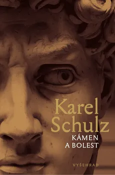 Kámen a bolest - Karel Schulz (2020, pevná s přebalem lesklá)