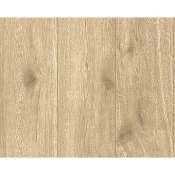 A.S. Création Best of Wood´n Stone 2020 30043-4 0,53 x 10,05 m
