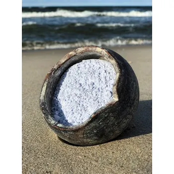 Pleťová maska AlgiChamot Alginátová maska Anti-Acne Mask 20 g