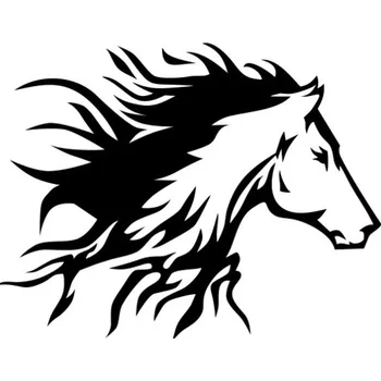 Samolepicí dekorace na vozidlo Samolepka koníček na auto a motorku, tuning nálepka (5017)