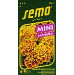 SEMO Aksamitník Safari Yellow Fire 30 ks