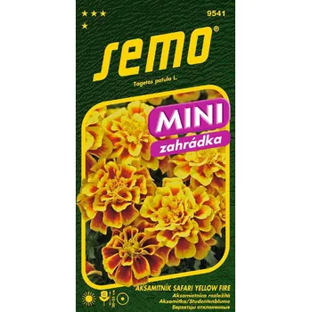 Semeno SEMO Aksamitník Safari Yellow Fire 30 ks
