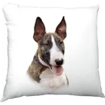 Polštář saténový s potiskem Bulteriér - štěně