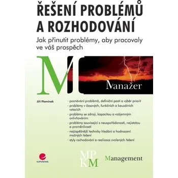 Řešení problémů a rozhodování