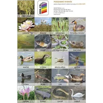 Pexeso Pexeso Podzimní rybník (Já můj svět 2)