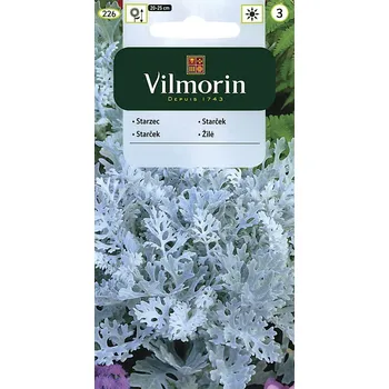 Semeno Vilmorin Starček Candicans 300 mg