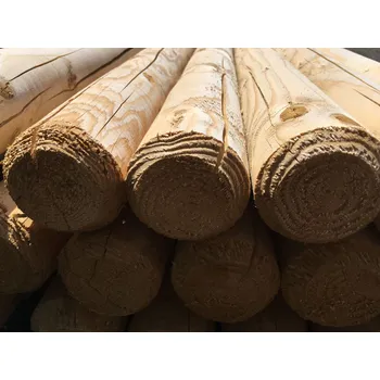 Ohradník Sloupek frézovaný průměr 10 cm Délka: 200 cm, Impregnace: Bez impregnace