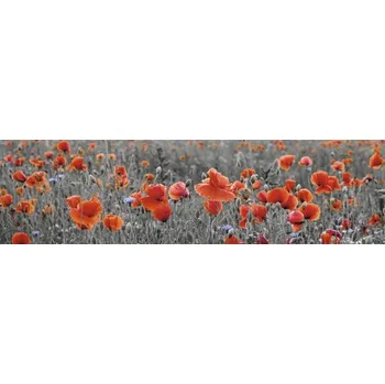 Obklad Samolepící PVC tapeta do kuchyně mySPOTTI splash Vlčí máky 60x220 cm