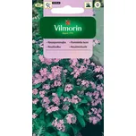 Vilmorin Pomněnka lesní růžová 300 mg