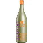 BES Silkat Deforforante Shampoo F1 1000ml - Šampon vhodný při obtížích s lupy