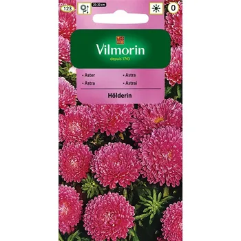 Semeno Astra čínská trpaslík Hölderlin (růžová)