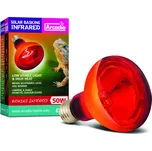 Arcadia Basking Infrared