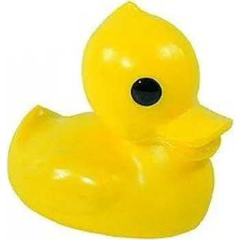 vodní stůl Směr Kačer do vody