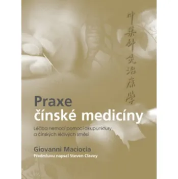 Praxe čínské medicíny: Léčba onemocnění…