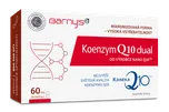 Barny's Koenzym Q10 dual 60 mg 30 cps.