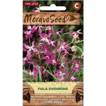MoravoSeed Fiala dvourohá 2 g